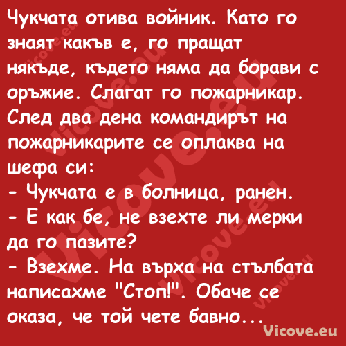 Чукчата отива войник. Като го з...