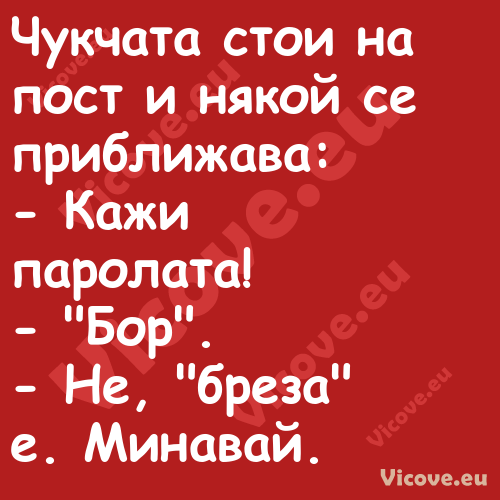 Чукчата стои на пост и някой се...