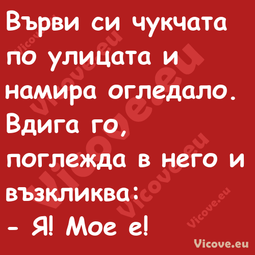 Върви си чукчата по улицата и н...