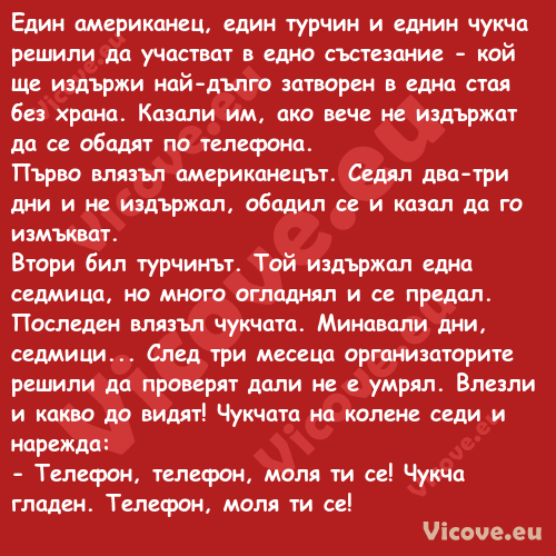 Един американец, един турчин и ...