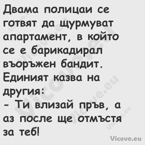 Двама полицаи се готвят да щурм...