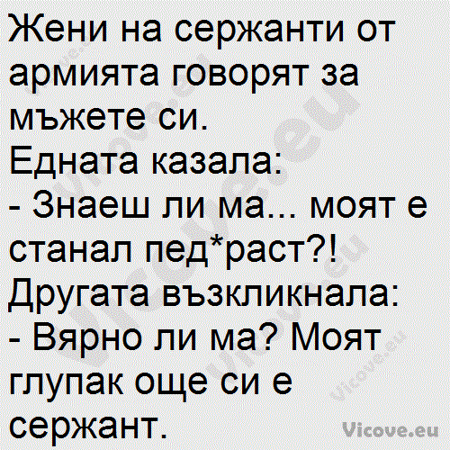 Жени на сержанти от армията говорят за мъжете си