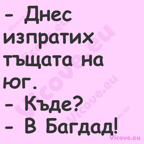  Днес изпратих тъщата на юг. ...