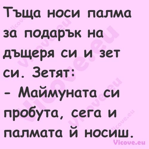 Тъща носи палма за подарък на д...