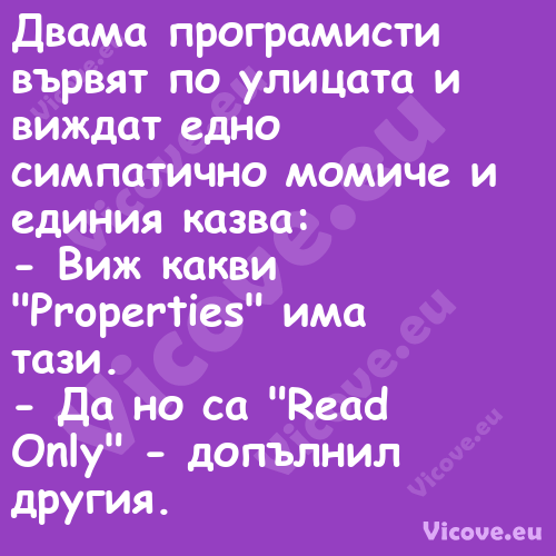 Двама програмисти вървят по ули...