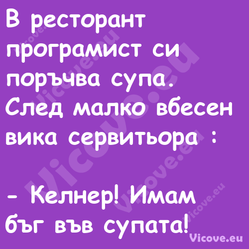 В ресторант програмист си поръч...