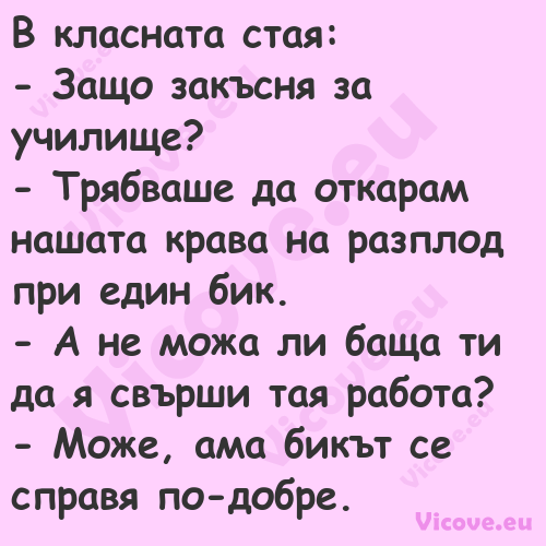 В класната стая: Защо закъ...