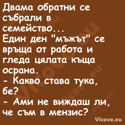 Двама обратни се събрали в семе...