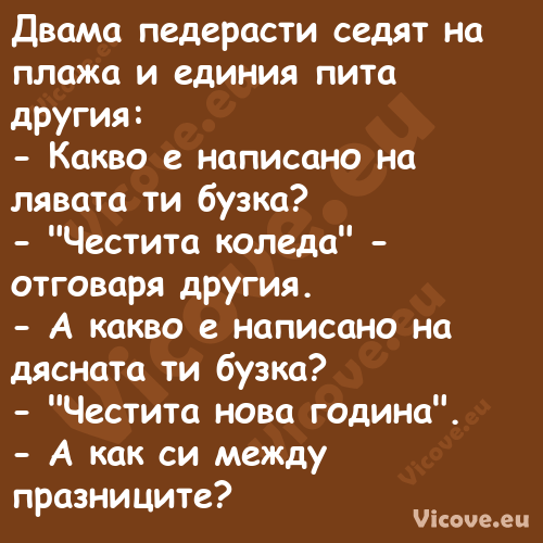 Двама педерасти седят на плажа ...