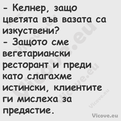  Келнер, защо цветята във ваза...