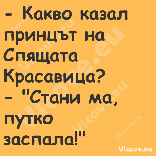  Какво казал принцът на Спящат...