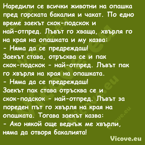 Наредили се всички животни на о...