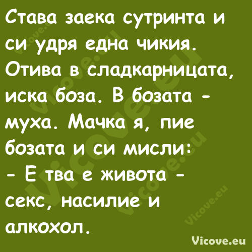 Става заека сутринта и си удря ...