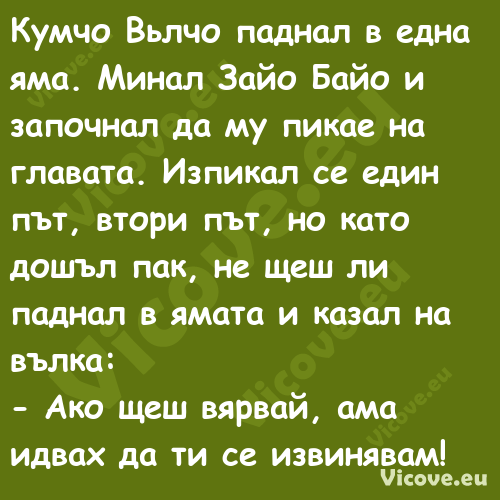 Кумчо Вьлчо паднал в една яма. ...