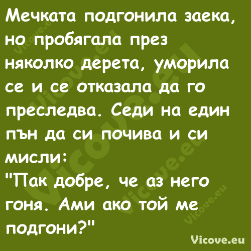 Мечката подгонила заека, но про...