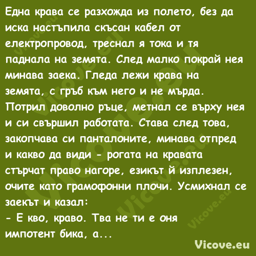 Една крава се разхожда из полет...