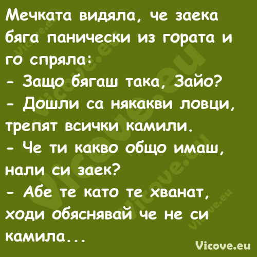 Мечката видяла, че заека бяга п...