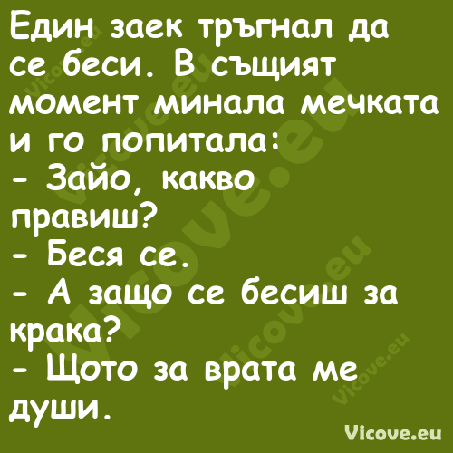 Един заек тръгнал да се беси. В...