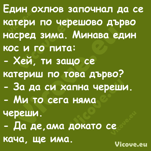 Един охлюв започнал да се катер...