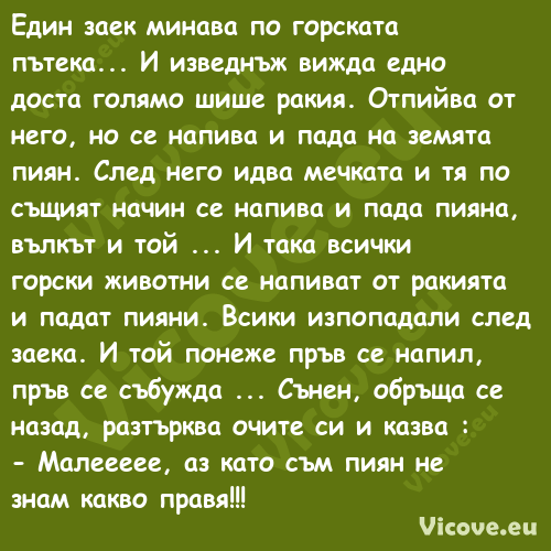 Един заек минава по горската пъ...