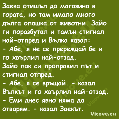 Заека отишъл до магазина в г...