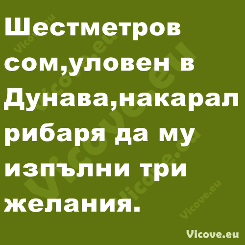 Шестметров сом, уловен в Дунава