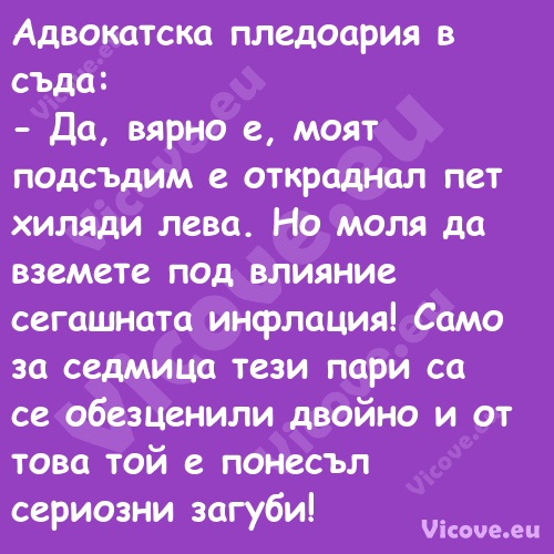 Адвокатска пледоария в съда: ...