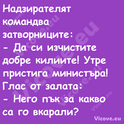 Надзирателят командва затворниц...