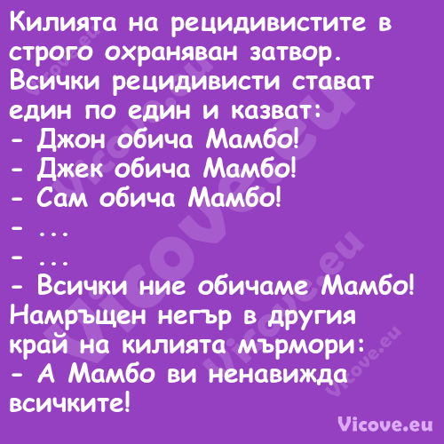 Килията на рецидивистите в стро...