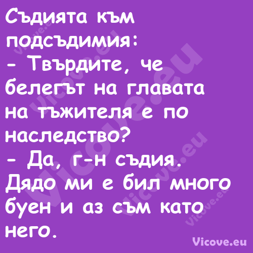 Съдията към подсъдимия: Тв...