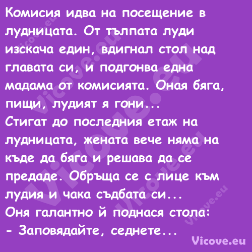 Комисия идва на посещение в луд...