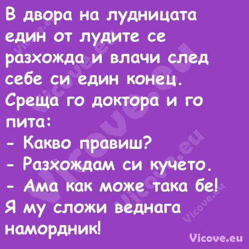 В двора на лудницата един от лу...