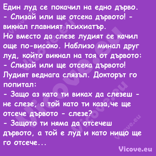 Един луд се покачил на едно дър...