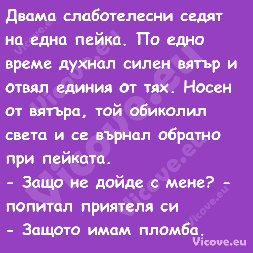 Двама слаботелесни седят на едн...