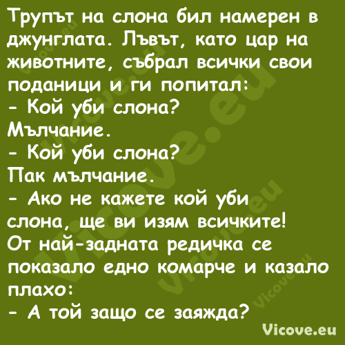 Трупът на слона бил намерен в д...