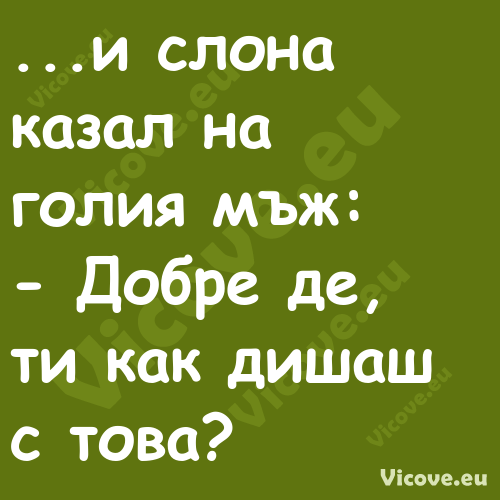 ...и слона казал на голия мъж:...