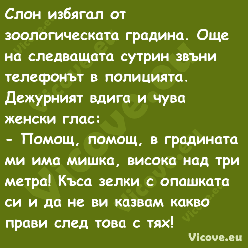 Слон избягал от зоологическата ...