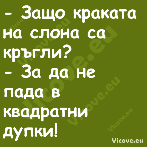  Защо краката на слона са кръг...