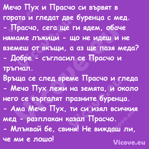 Мечо Пух и Прасчо си вървят в г...