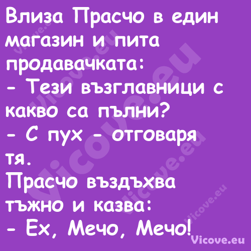 Влиза Прасчо в един магазин и п...