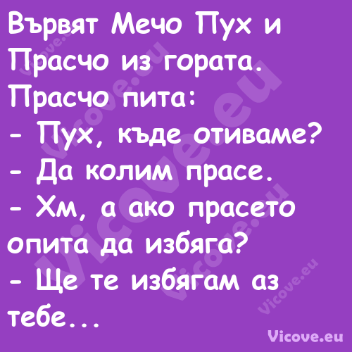 Вървят Мечо Пух и Прасчо из гор...