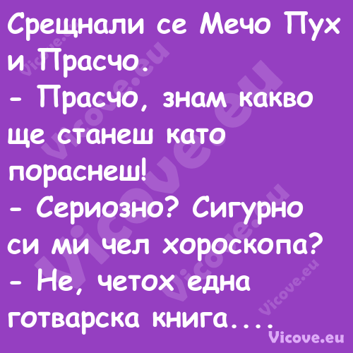 Срещнали се Мечо Пух и Прасчо....