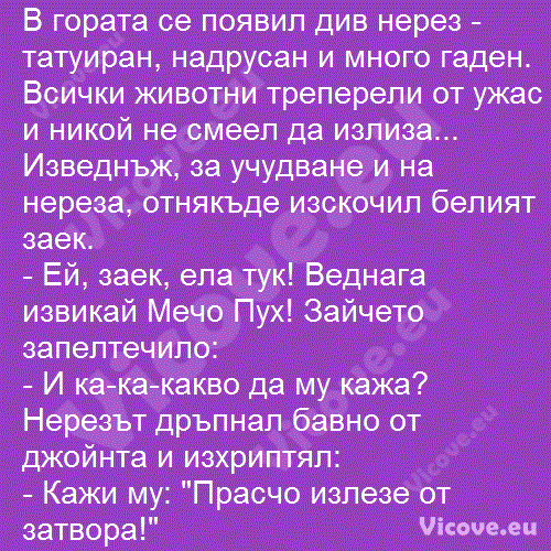 В гората се появил див нерез