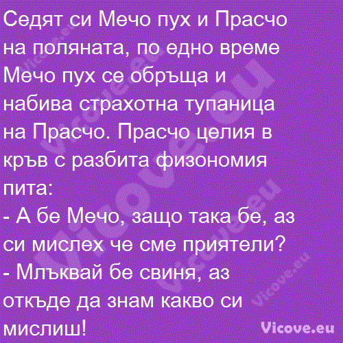 Седят си Мечо пух и Прасчо на поляната