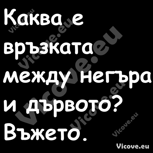 Каква е връзката между негъра и...