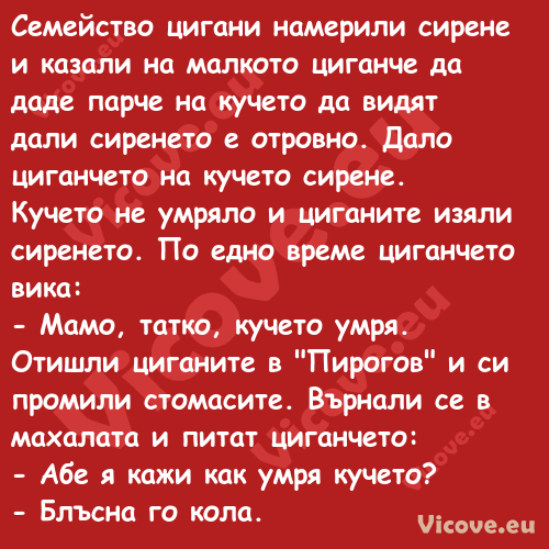 Семейство цигани намерили сирен...