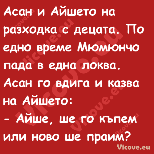 Асан и Айшето на разходка с дец...