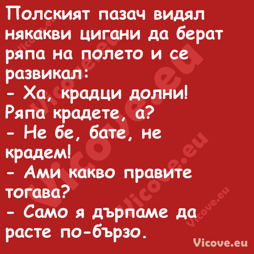 Полският пазач видял някакви ци...