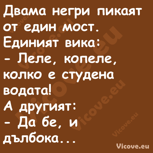 Двама негри пикаят от един мост...