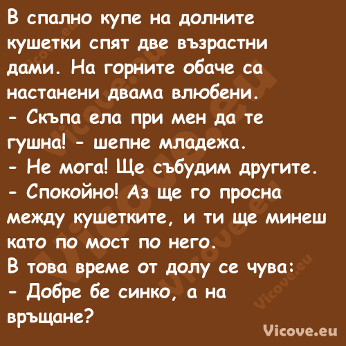 В спално купе на долните кушетк...